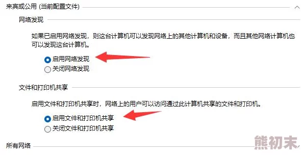 Win11网络共享设置：详细指南与常见问题解决方案，助你轻松实现文件与打印机的共享管理